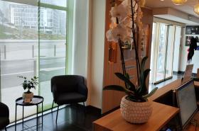 ibis Styles Rennes Centre Gare Nord - photo 27