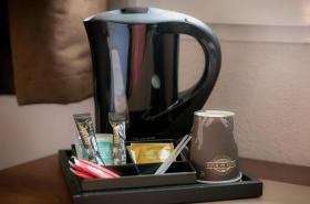 Brit Hotel Rennes Le Castel - photo 8