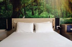 Novotel Rennes Alma - photo 10