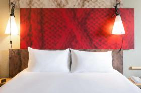 ibis Rennes Centre Gare Sud - photo 6